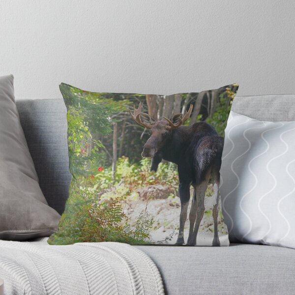 Item preview, Young Maine Moose bull designed and sold by Enola Gay Wagner.