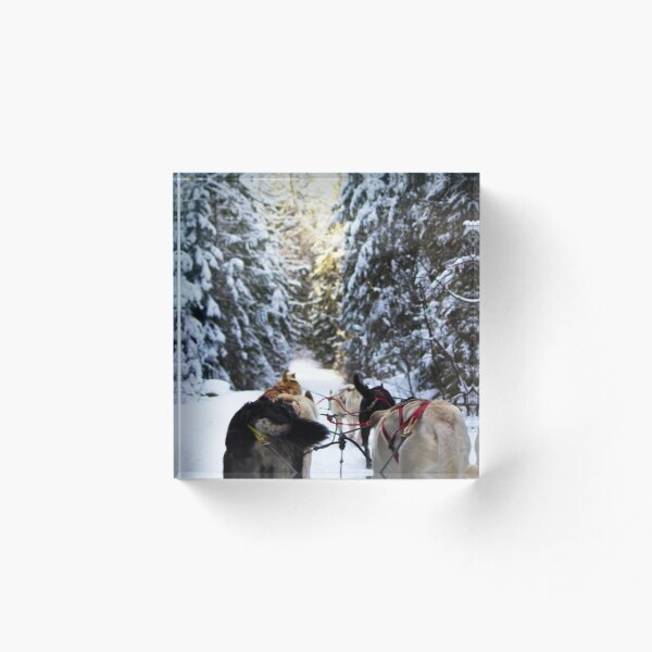 Item preview, Dogsledding designed and sold by Ruben Wills.