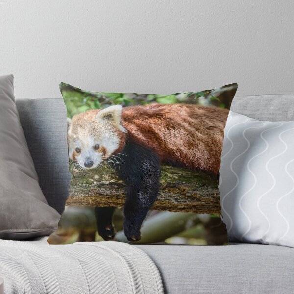 Item preview, Relaxing Red Panda  designed and sold by Chris  Randall.