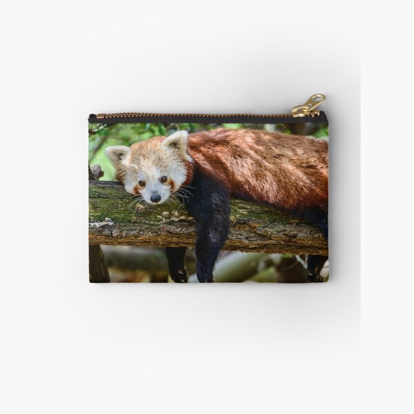 Item preview, Relaxing Red Panda  designed and sold by Chris  Randall.