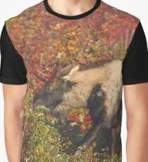 Piebald Bull Moose in Maine Graphic T-Shirt