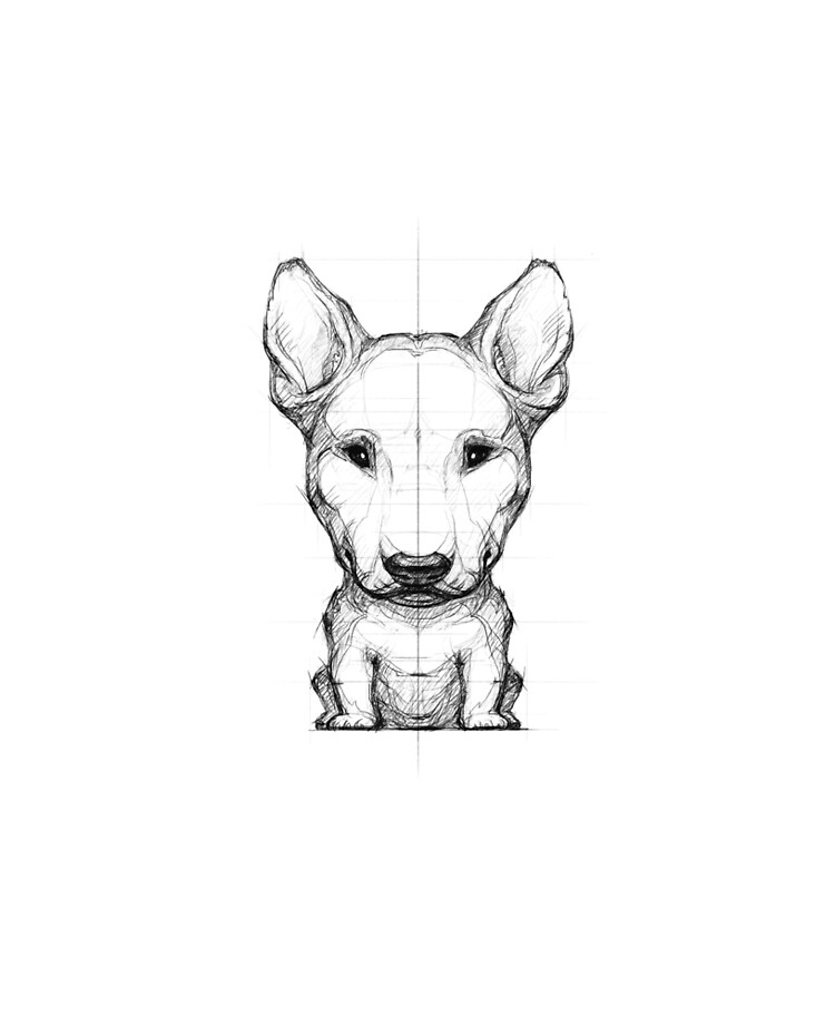 Bull Terrier Pencil Drawing Ipad Case Skin By Bullterrier Redbubble