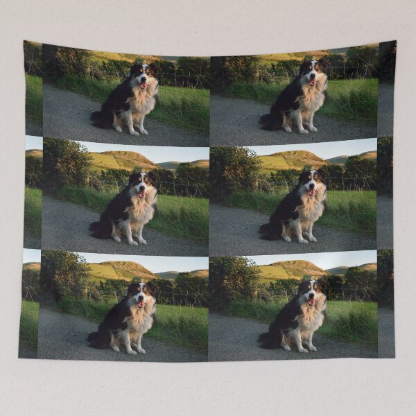 Item preview, Laddie Forever. designed and sold by Michael Haslam.