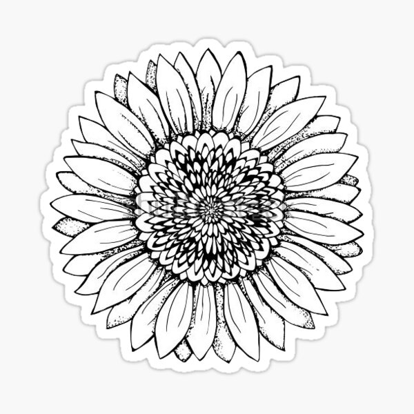 Small Sunflower Drawing Black And White