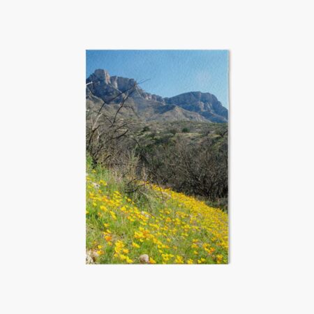 Item preview, Spring Poppies before Pusch Ridge designed and sold by PatGoltz.