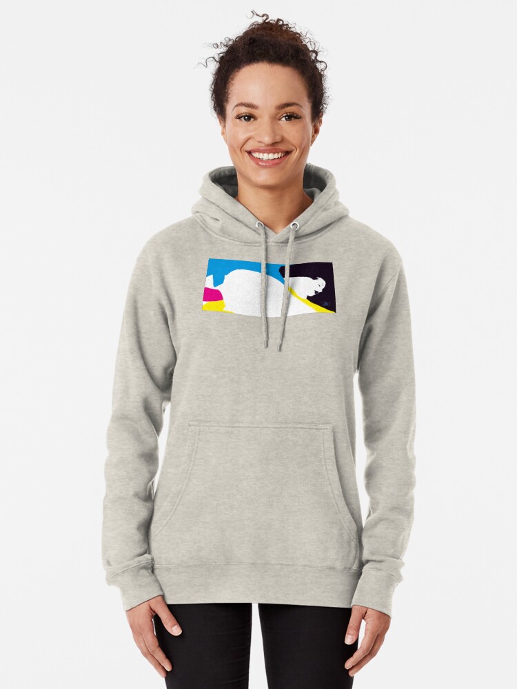 Alternate view of quadricromia quattro Pullover Hoodie