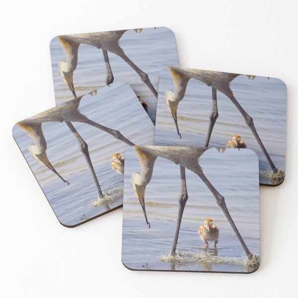 Item preview, Sandhill crane with chick in Florida lake designed and sold by Zina Stromberg.