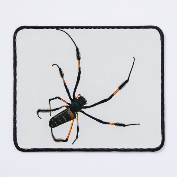 Item preview, Golden Weaver designed and sold by KEnzPhotography.