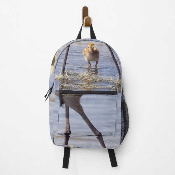 Item preview, Sandhill crane with chick in Florida lake designed and sold by Zina Stromberg.