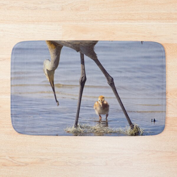 Item preview, Sandhill crane with chick in Florida lake designed and sold by Zina Stromberg.
