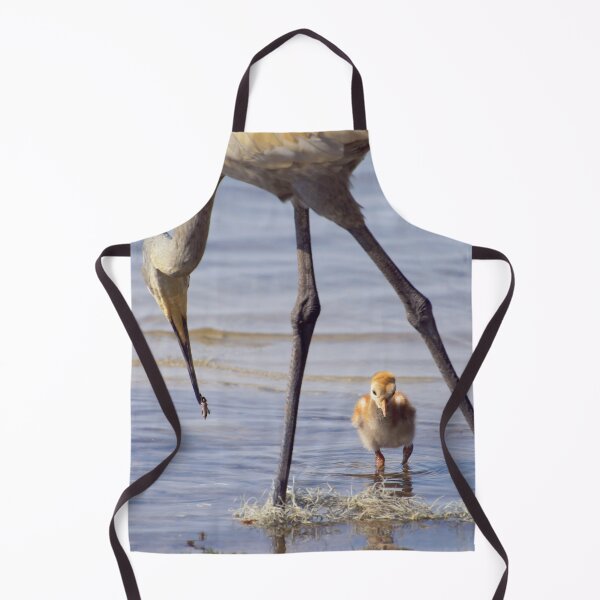 Item preview, Sandhill crane with chick in Florida lake designed and sold by Zina Stromberg.