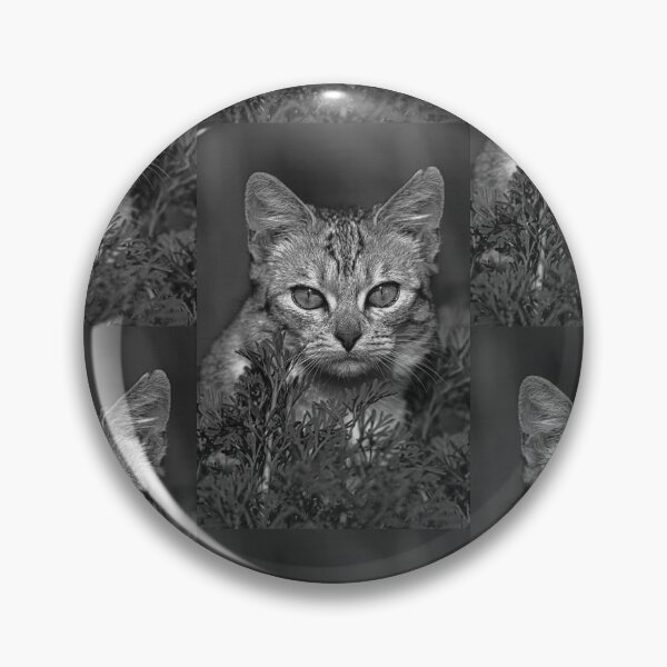 Item preview, r36 / finition 2023 -  : " Ma chatte Bien-Aimée " Photo  Okaio-Umin  Créations  Olavia-Olao designed and sold by o.okaïo.