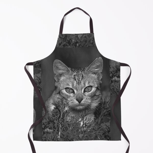 Item preview, r36 / finition 2023 - : " Ma chatte Bien-Aimée " Photo Okaio-Umin Créations Olavia-Olao designed and sold by o.okaïo.