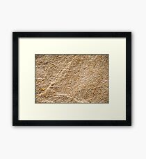 Brown paper bag microscopic texture. Framed Print
