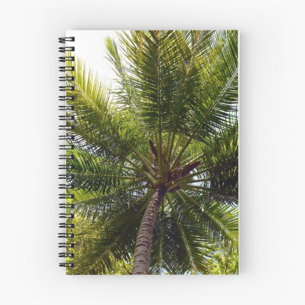 Item preview, Natural background with palm tree top designed and sold by oanaunciuleanu.