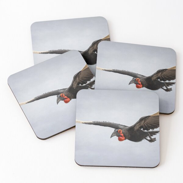 Item preview, Southern Ground Hornbill Zimbabwe Africa designed and sold by PhotoArt by Joan Carroll.