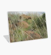 Boulders Laptop Skin