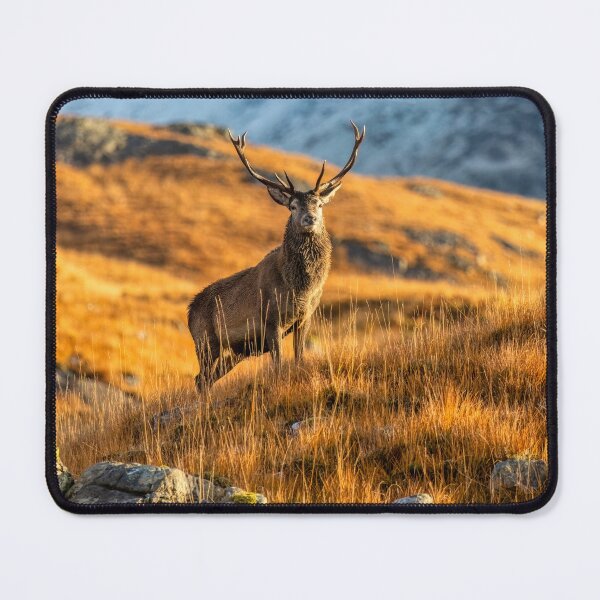 Item preview, Red Deer Stag in Winter designed and sold by derekbeattie.