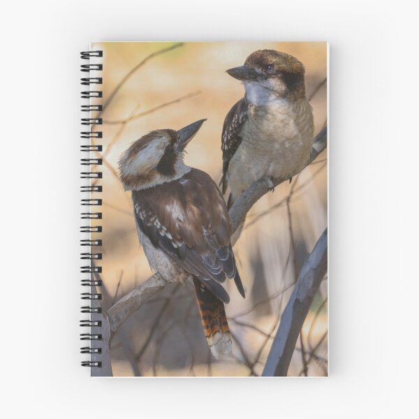 Item preview, Kookaburra  designed and sold by scar.