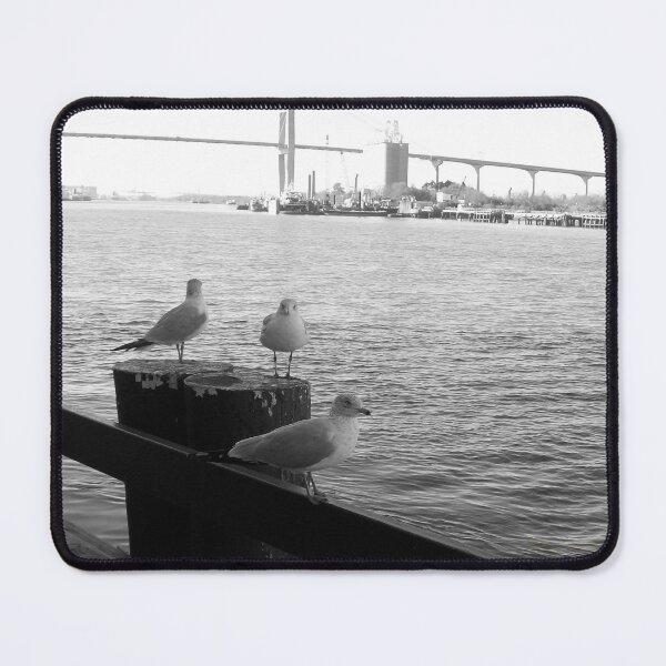 Item preview, Savannah River Seagulls designed and sold by Craig Kauzmann.