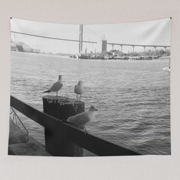 Item preview, Savannah River Seagulls  designed and sold by Craig Kauzmann.