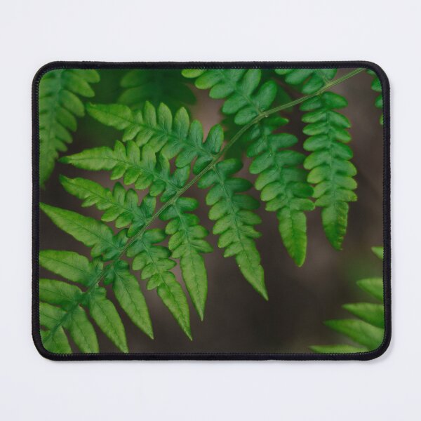 Item preview, Up North Fern designed and sold by Stevens-Prints.