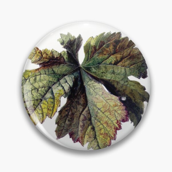 Item preview, Studies of vine leaves | Willem van Leen designed and sold by LaMadeleine.