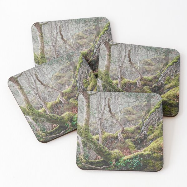 Item preview, Ancient Woodland in West-Wales designed and sold by lewisjevons.