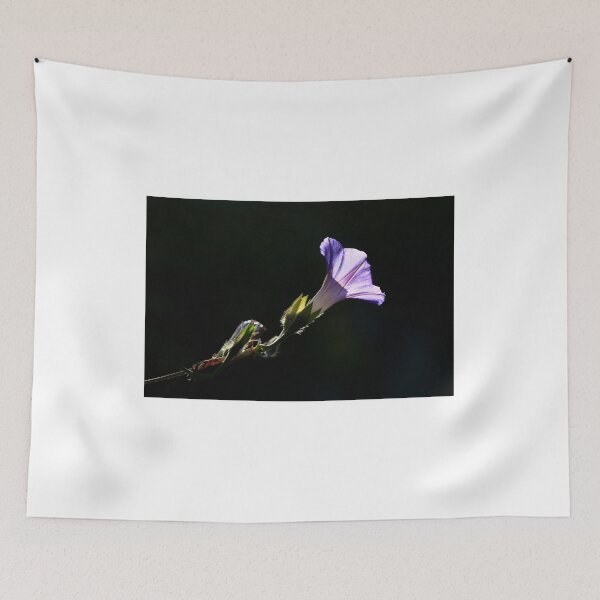 Item preview, Violet flower on black background designed and sold by olena2552.