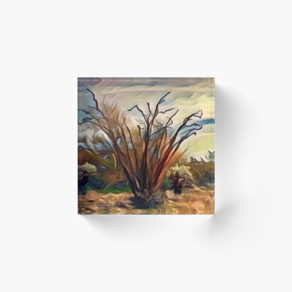 Aperçu de l'œuvre Ocotillo unique créée et vendue par Image-Prints.