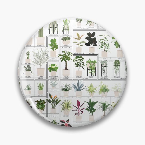 Item preview, The Horticultural Chart of Houseplants | The Ultimate Guide of 100 Plants designed and sold by Alo.