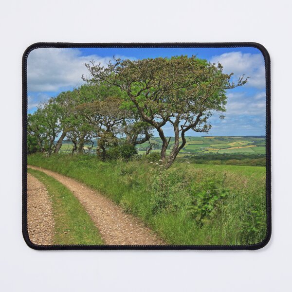Item preview, Lane above the Countryside designed and sold by outdoorstudio.