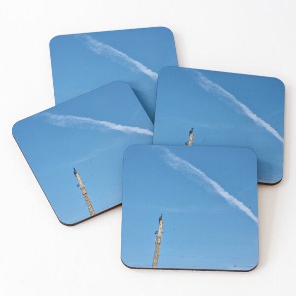 Item preview, A Lonely Bird (series | photo 1 of 2) designed and sold by Sunshine-Asawa.