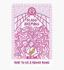 Glass Animals Photographic Print