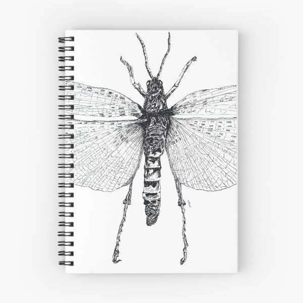 Item preview, Insect - Phymateus saxosus. designed and sold by Ereeny.