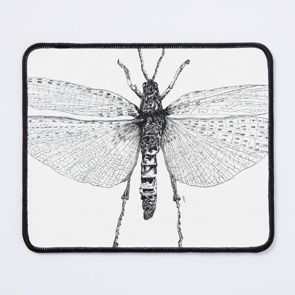 Item preview, Insect - Phymateus saxosus. designed and sold by Ereeny.