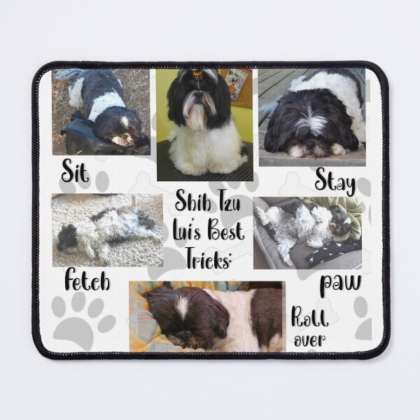 Item preview, Shih Tzu Lui’s Best Tricks designed and sold by CreArtation.