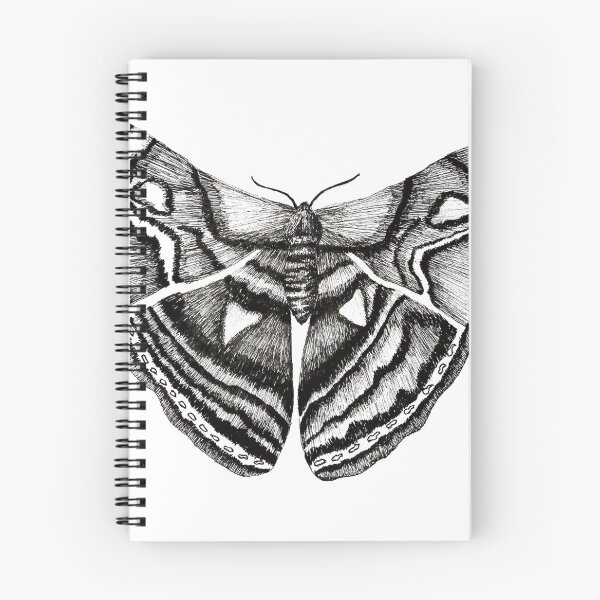 Item preview, Insect - atlas moth designed and sold by Ereeny.