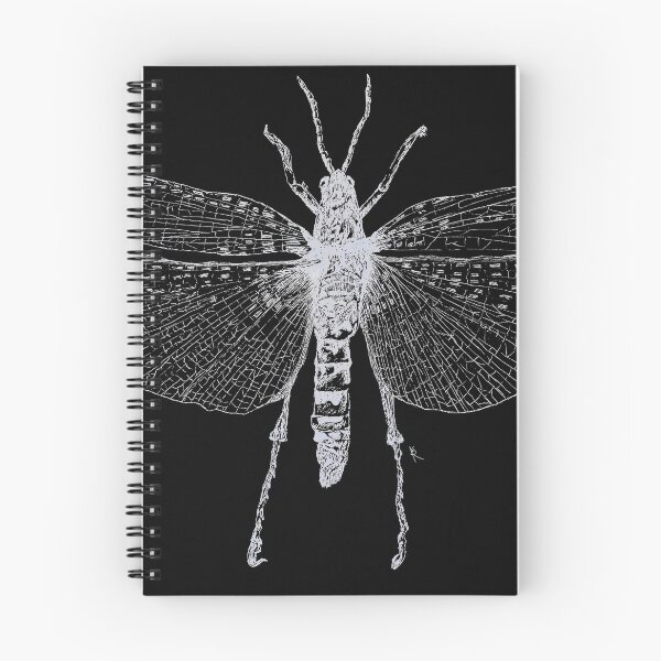 Item preview, Insect - Phymayeus Saxous designed and sold by Ereeny.