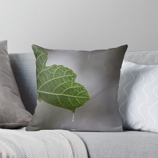 Item preview, Fig tree in the rain designed and sold by shaynetwright.