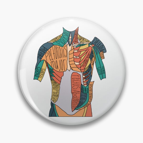 Item preview, Labeled Abdominal Muscle Anatomy  designed and sold by Katherine Winner.
