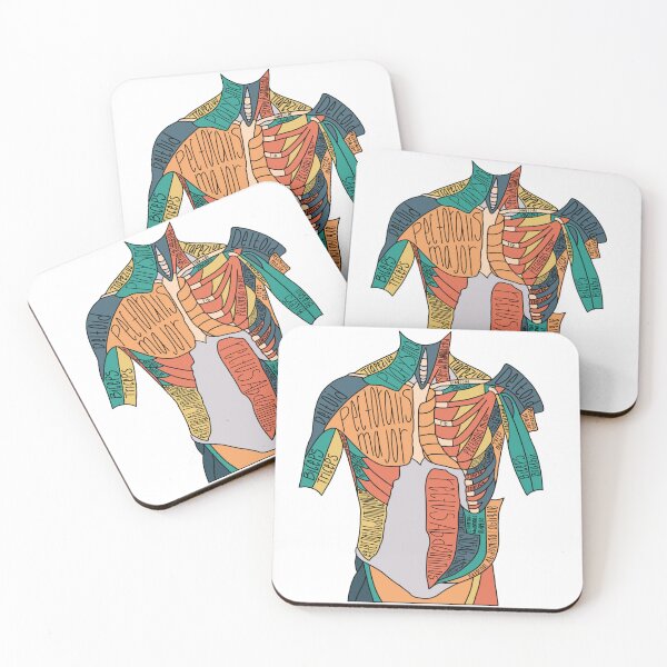 Item preview, Labeled Abdominal Muscle Anatomy  designed and sold by Katherine Winner.