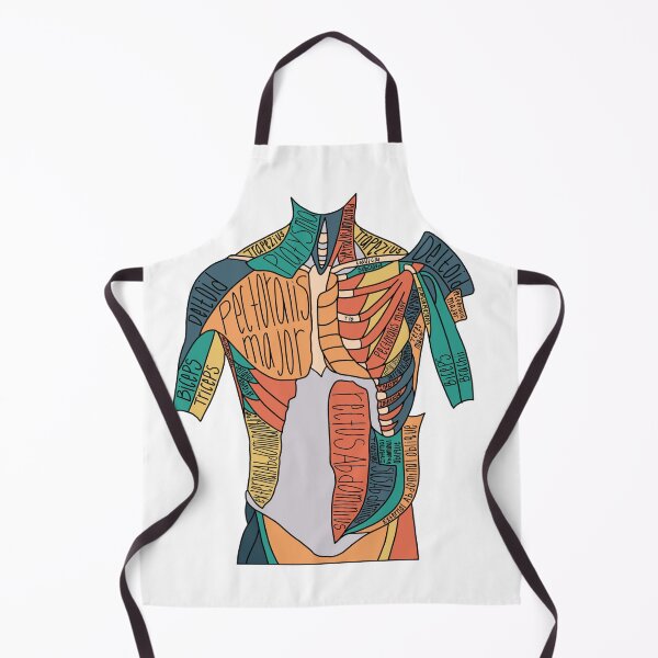 Item preview, Labeled Abdominal Muscle Anatomy  designed and sold by Katherine Winner.
