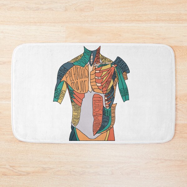 Item preview, Labeled Abdominal Muscle Anatomy  designed and sold by Katherine Winner.