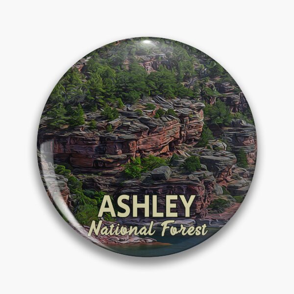 Item preview, Ashley National Forest Souvenir designed and sold by Wild-Outside.