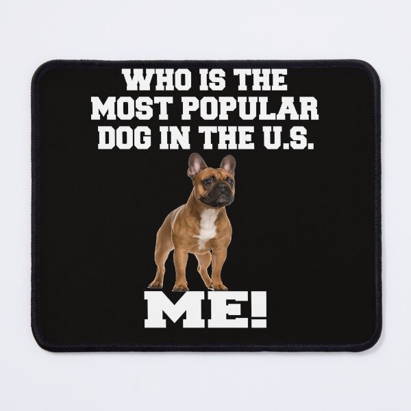 Item preview, French Bulldog Lover Who Is The Most Popular Dog In The U.S. Me! designed and sold by fantasticdesign.