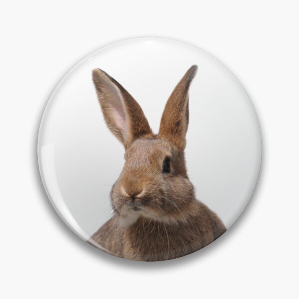 Item preview, Brown rabbit head designed and sold by Schubbels-Tiere.