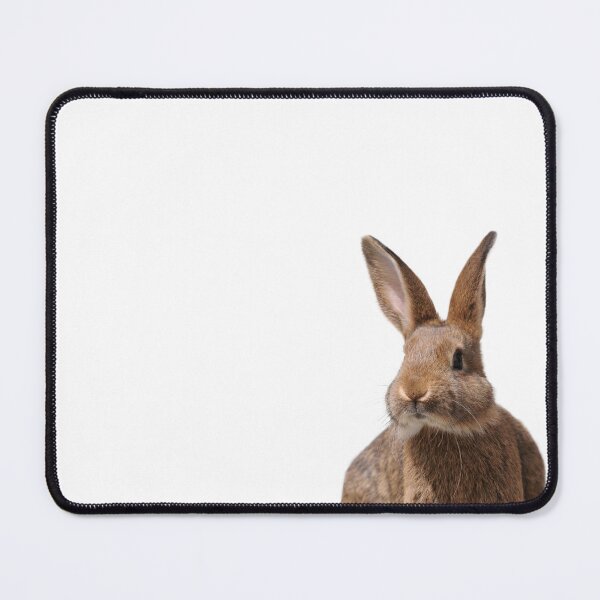 Item preview, Brown rabbit head designed and sold by Schubbels-Tiere.