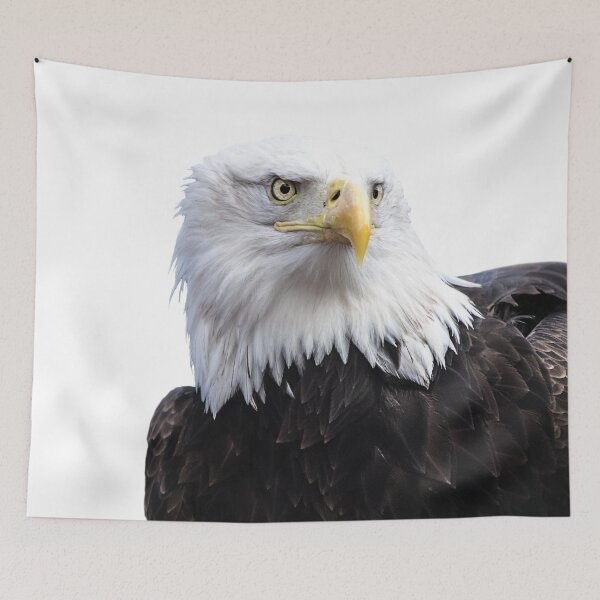 Item preview, eagle designed and sold by La-Pics.