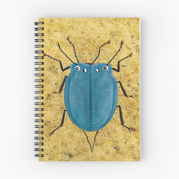 Item preview, Hector designed and sold by MyBugSpecimens.